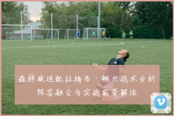 森林狼适配拉梅洛·鲍尔战术分析:阵容融合与实战前景解读